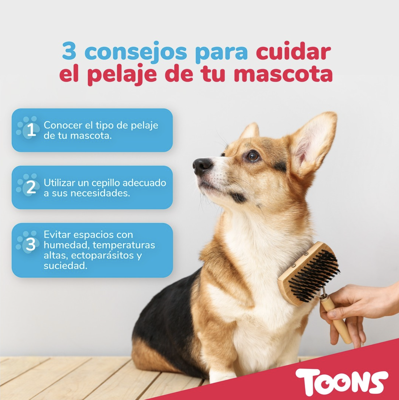 Captura-de-pantalla-2026-03-08-a-la-s-10-29-07-a-m-.png